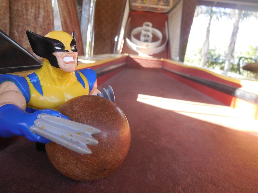 Wolverine4