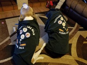 dogs-in-shirts